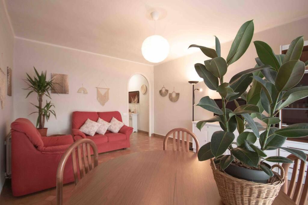 Lc Apartaments Av Del Mar Castellon de la Plana Exterior photo